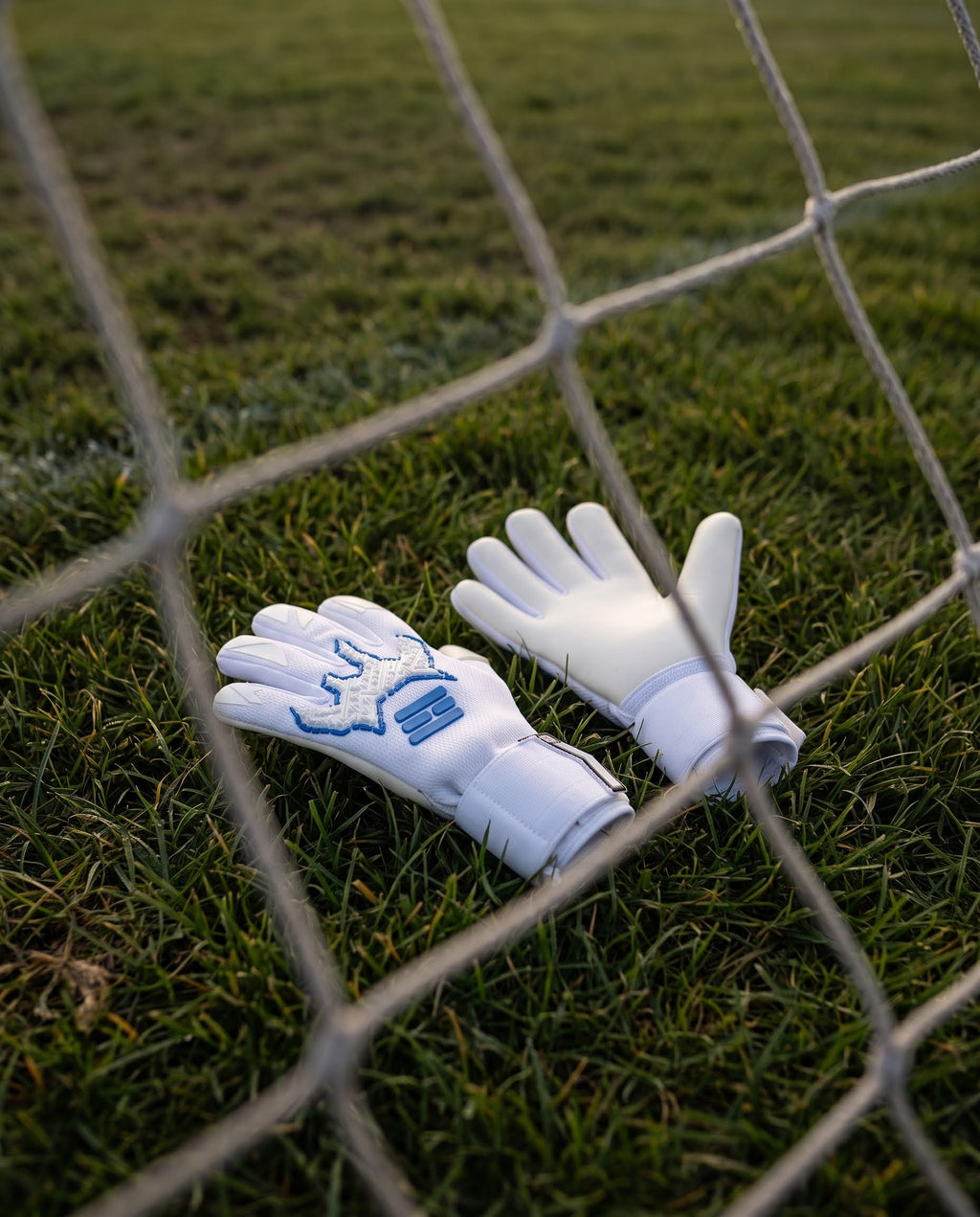 BENETT FX 2.4 Academy