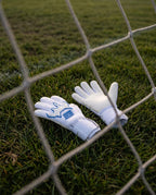 BENETT FX 2.4 Academy