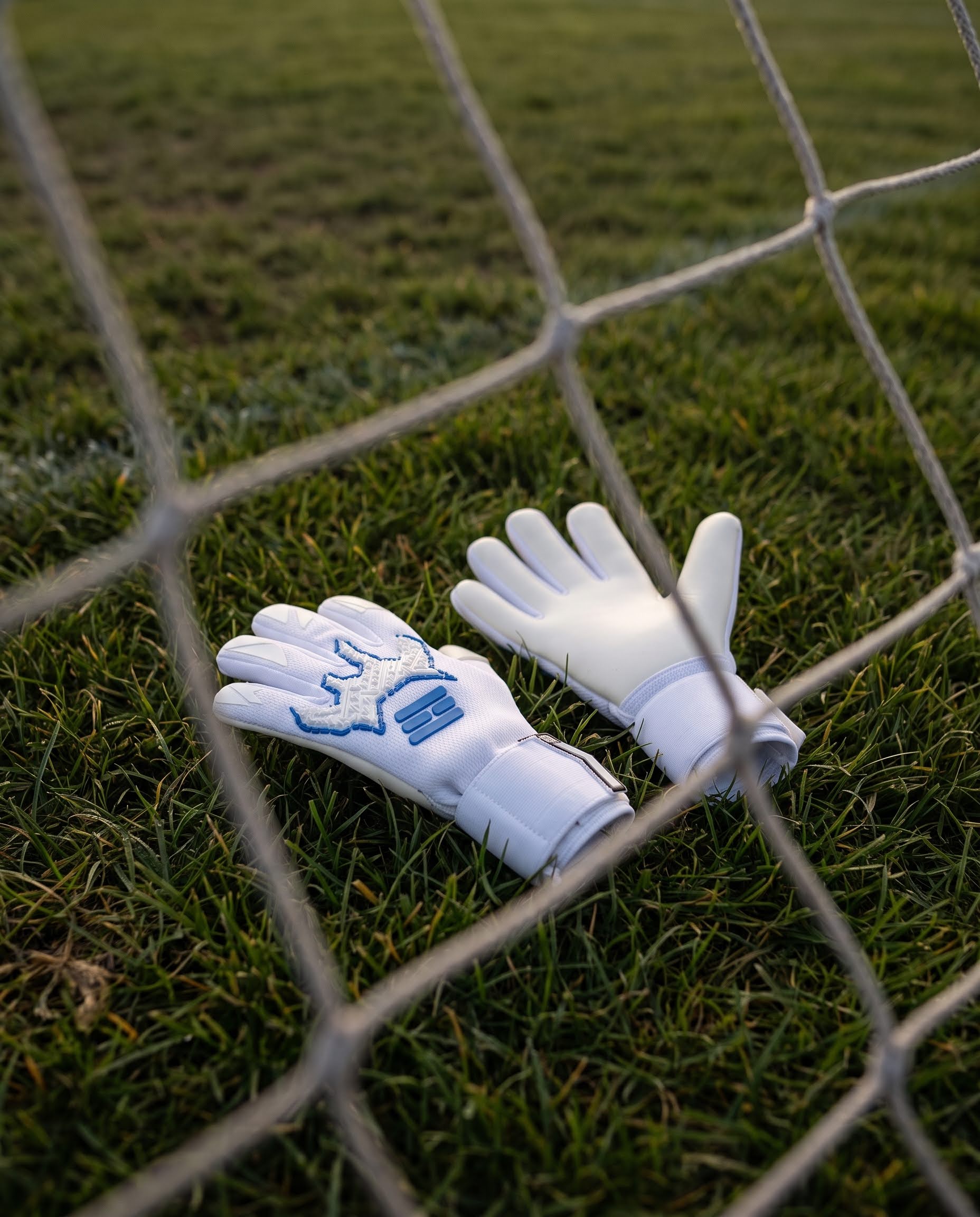 BENETT FX 2.4 Academy
